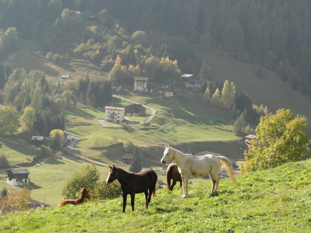 B&B Mas Di Zonadi Rabbi Buitenkant foto