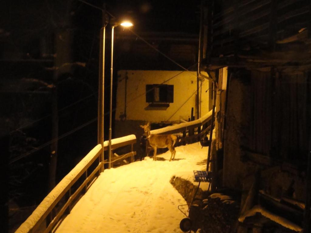B&B Mas Di Zonadi Rabbi Buitenkant foto